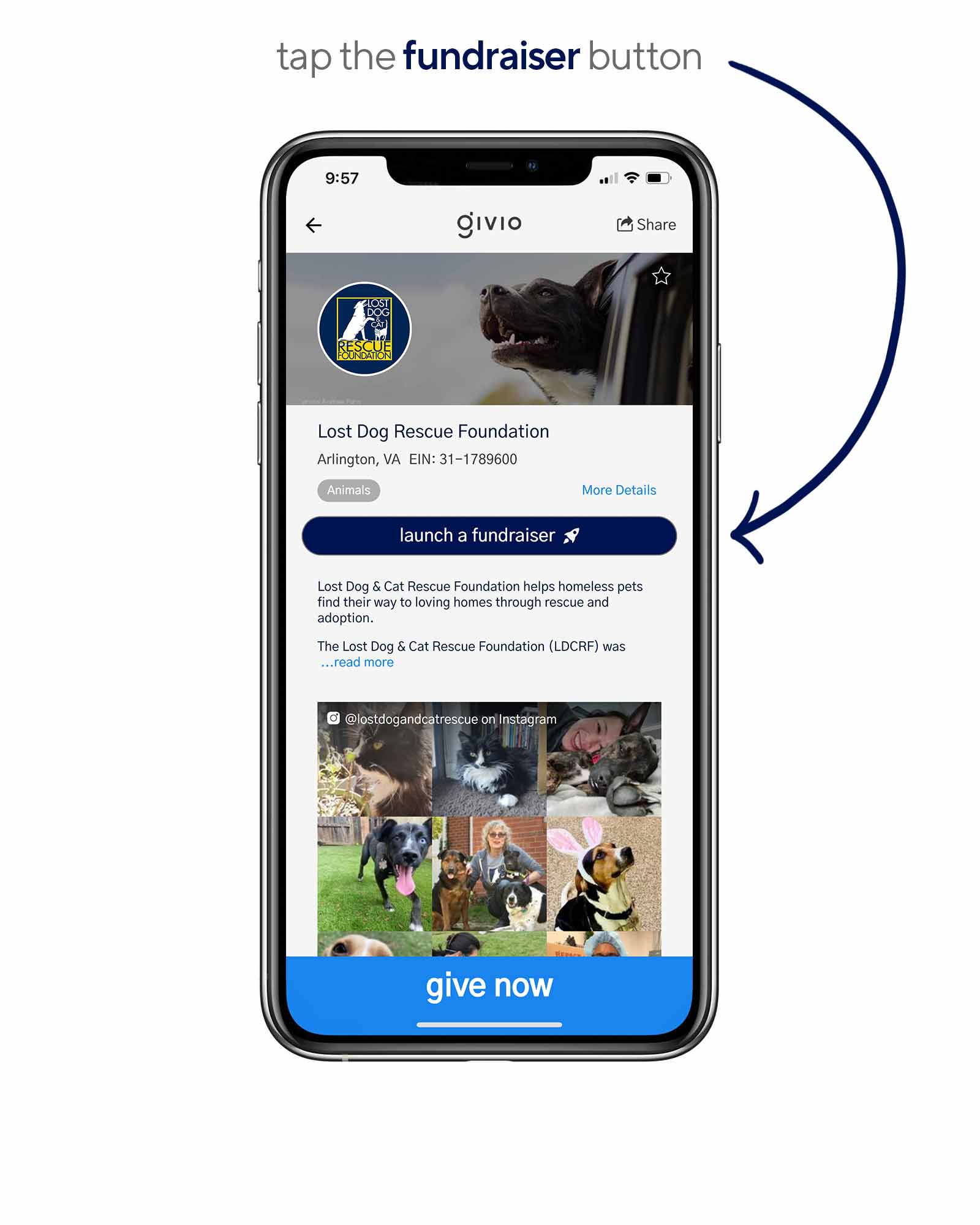 Every nonprofit page in the mobile Givio app has a “launch a fundraiser” button, making it super easy for supporters to launch campaigns on behalf of their favorite nonprofits