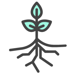 Icon of seedling growing roots and spreading
